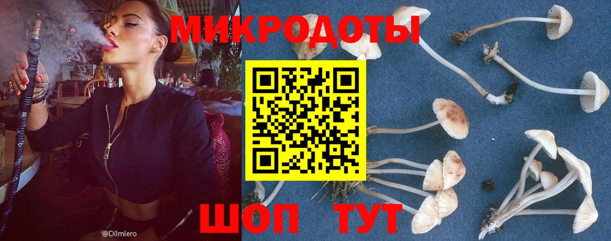 Ипатово  Псилоцибиновые грибы Psilocybine cubensis  Вход с VPN 