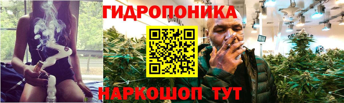 Шишки марихуана OG Kush Ипатово